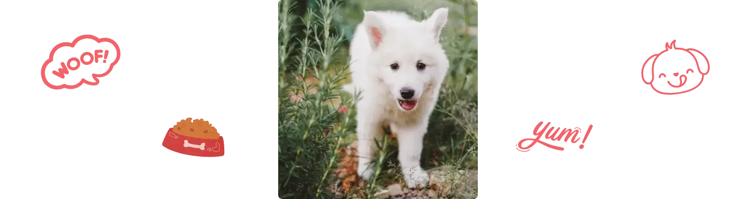 Aliment Berger Blanc Suisse