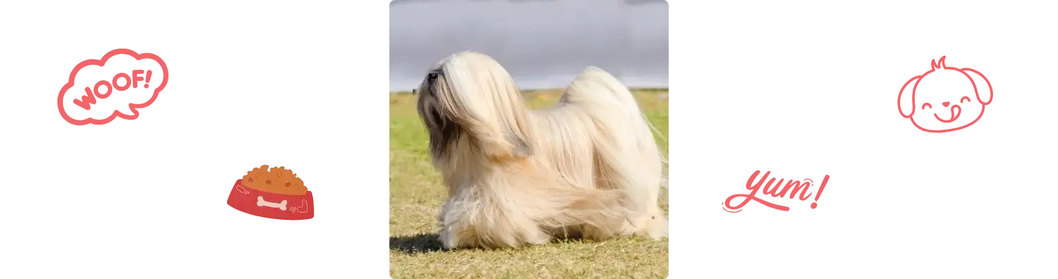 Aliment du Lhassa Apso