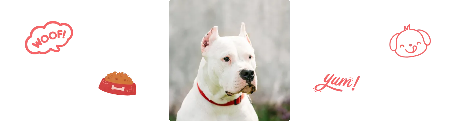 Aliment du Dogue_ argentin