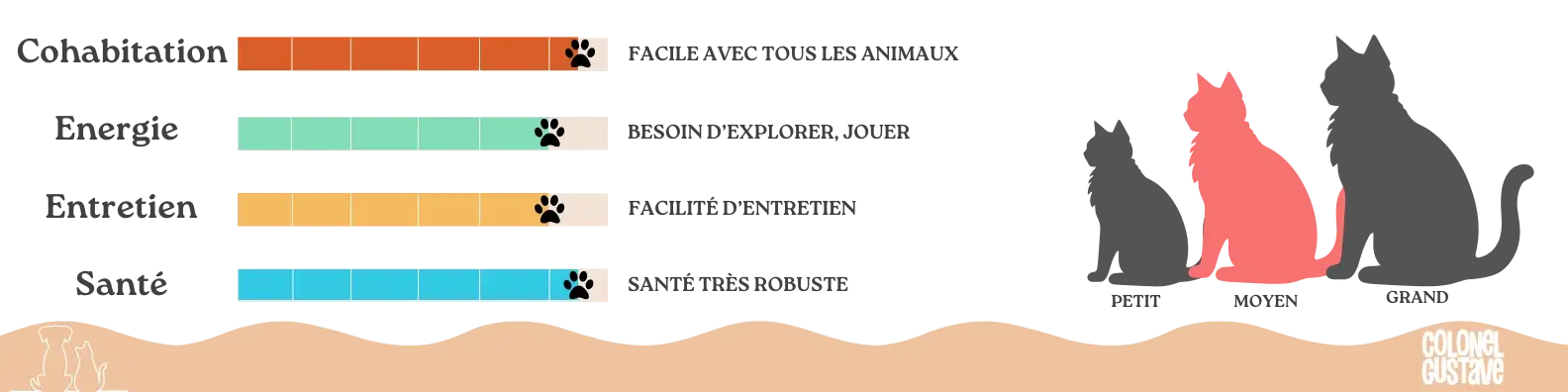 Caractéristiques de l' Angora Turc