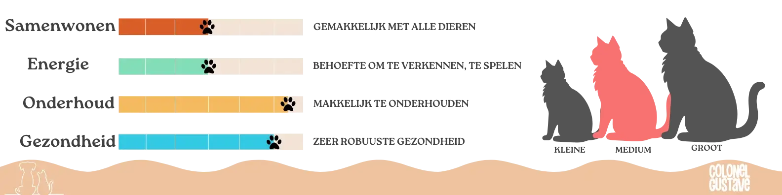 Kenmerken van de Korat