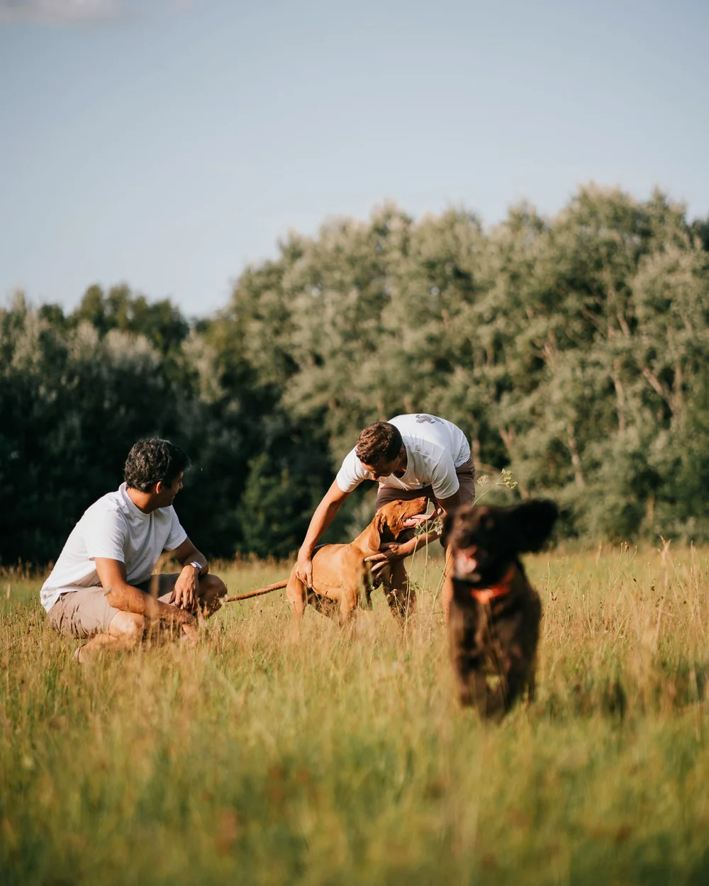 Arnaud Henroz en Arnaud Gustin, oprichters van Colonel Gustave, met Sierra en hun hond tijdens een canicross-sessie in België